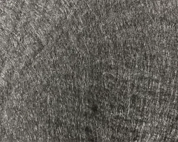 SKAPS GT Non Woven Fabrics