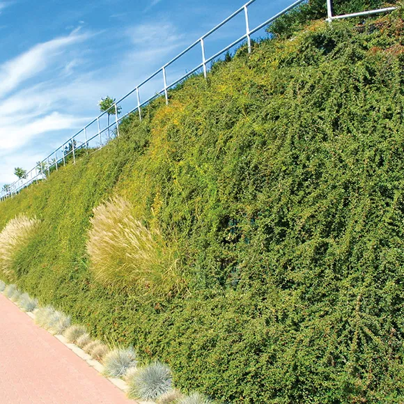 Sierra® Slope Soil Retention System